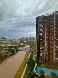Twin Vew (D5), Apartment #553947781